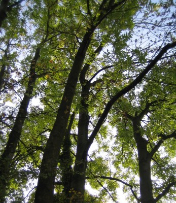 20101028_0001_2.JPG