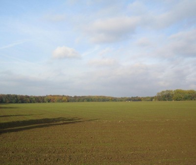 20101028_0001_1.JPG