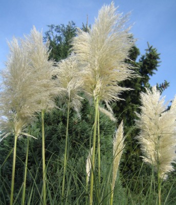 20101028_0001_10.JPG