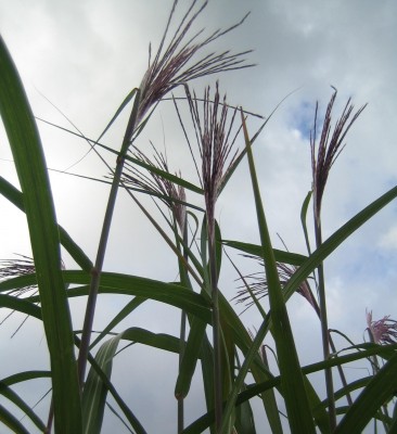 20101020_0001_5.JPG