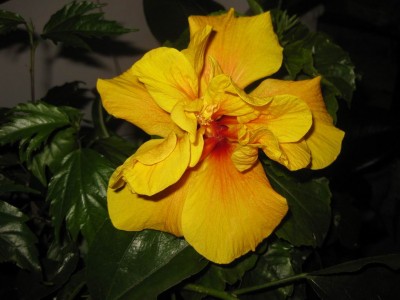 Größenänderung IMG_2533.JPG