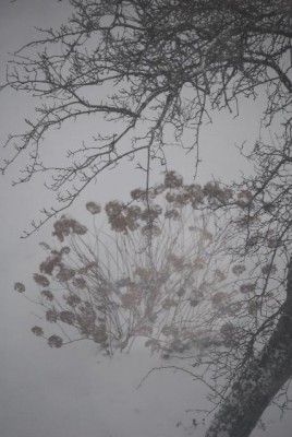 snow004yy.jpg