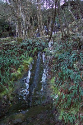 100_2396.JPG