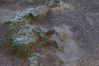 100_2395.JPG