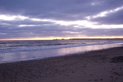 100_2309.JPG