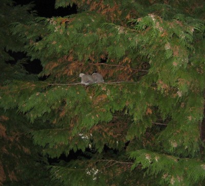 20101028_0001_11.JPG
