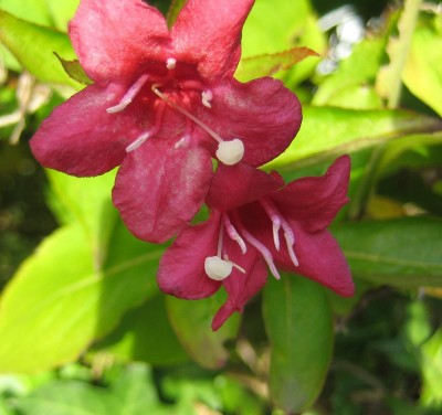 20101028_0001.JPG
