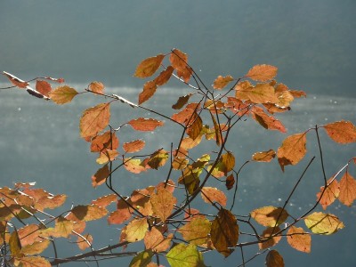 Hechtsee.jpg