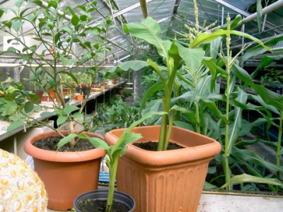 PICT0062.JPG