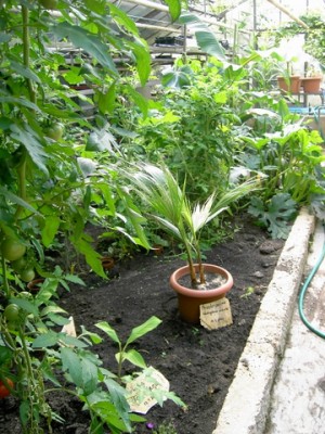 PICT0053.JPG