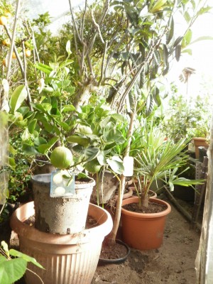 Bild 482.jpg