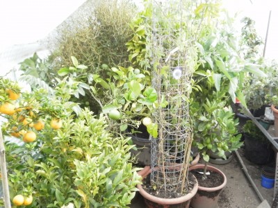 Bild 480.jpg