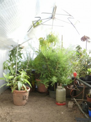 Bild 471.jpg