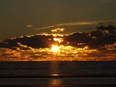 DSCF8595.JPG