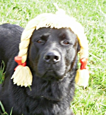 Bild 486-crop.jpg