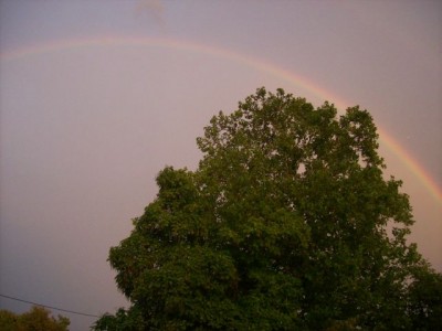 regenbogen.jpg