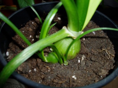 P1010011.JPG