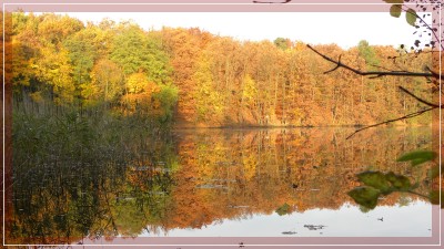 2010-10-30 087jc.jpg