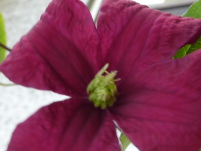 P1020147.JPG