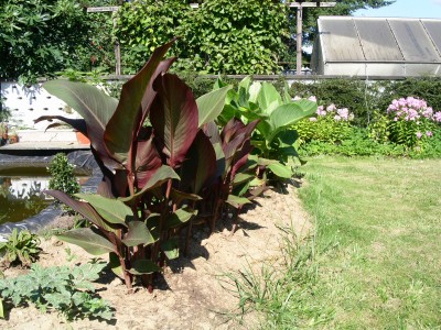 PICT0062.jpg