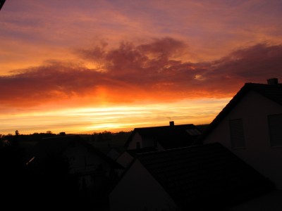 IMG_5001.JPG