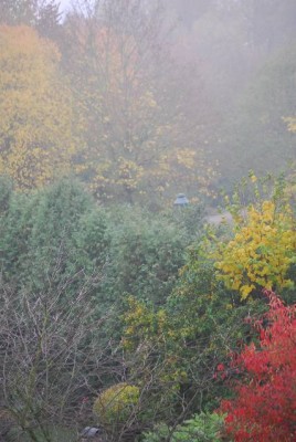 Herbstzauber 099yy.jpg