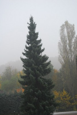 Herbstzauber 098yy.jpg