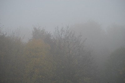 Herbstzauber 097yy.jpg