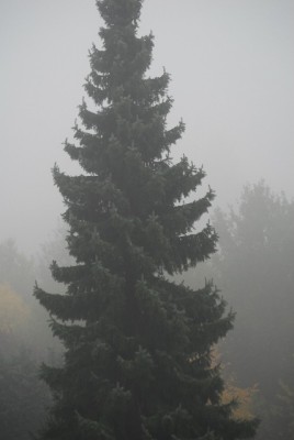 Herbstzauber 094yy.jpg