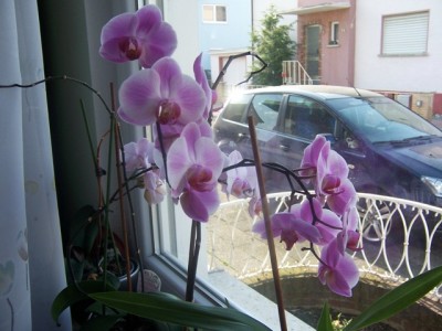 Bild 020.jpg