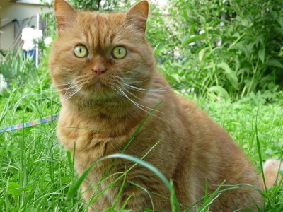 P1000460 - Kopie.JPG