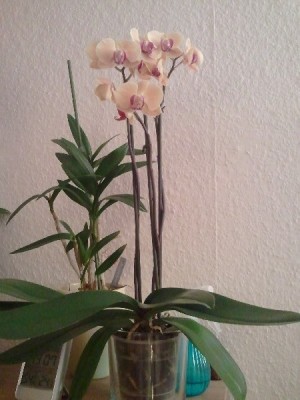 2010-11-01 18.07.38_600x600_100KB.jpg