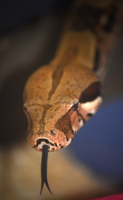 angelika12010 032yy.jpg