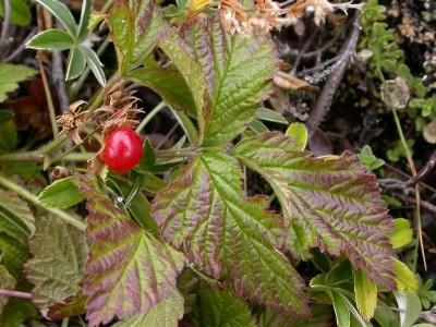 rätsel 101102 komplett.jpg