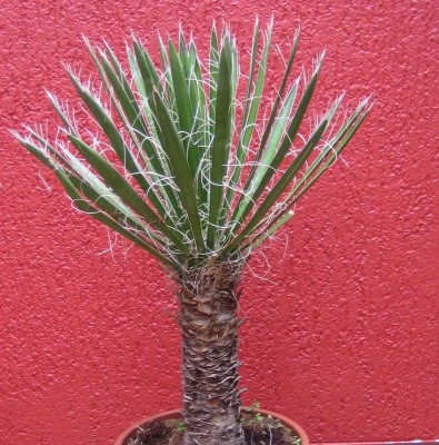 20090728_0001_2.JPG