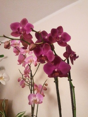 2010-11-03 17.57.14_600x600_300KB.jpg