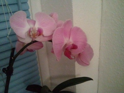 2010-11-03 17.56.00_600x600_300KB.jpg