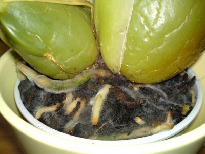 03112010104.JPG