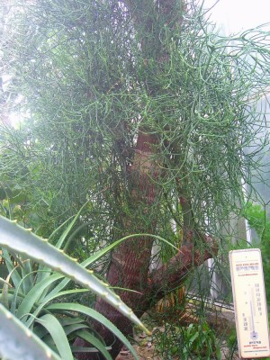 100D0645.JPG