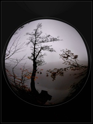 2010-11-02 019lcomp.jpg