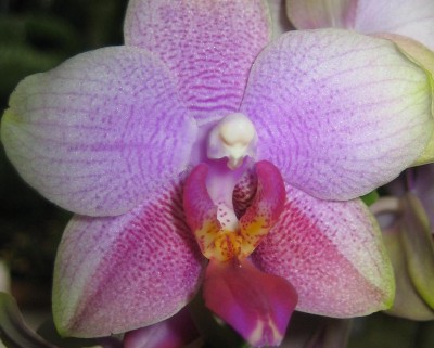 20101015_0001_1.JPG