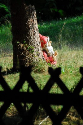 ballenstedt209 465yy.jpg