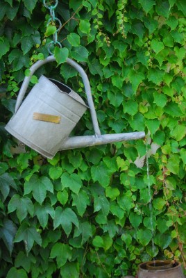 ballenstedt209 451yy.jpg