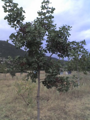 13-09-10_1209.jpg