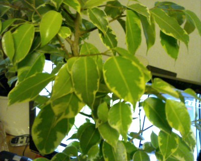 Picture 2.jpg