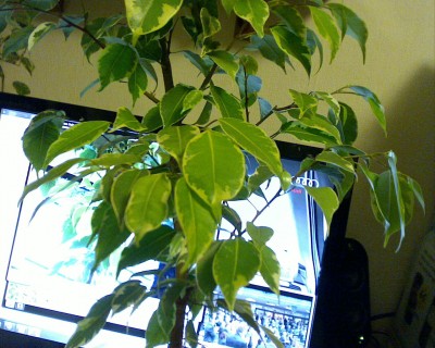 Picture 3.jpg
