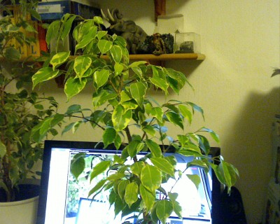 Picture 4.jpg