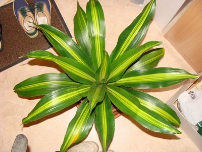 Meine Bilder 1313a.jpg