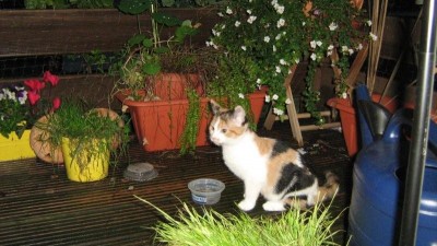 IMG_1297.jpg