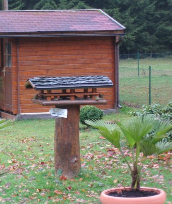 20101107_0001_10.JPG